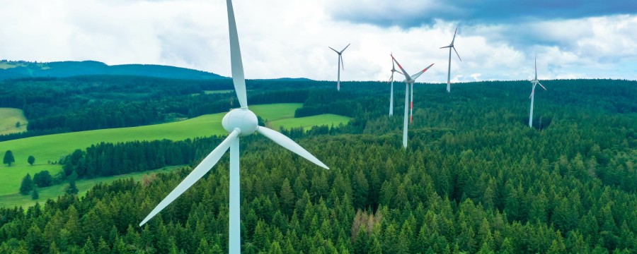 Windräder im Wald