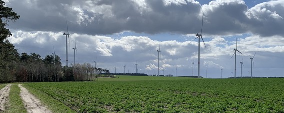Windpark Buchholz bei Stendal: Es fehlt nicht an Wind, aber an Kapazitäten.